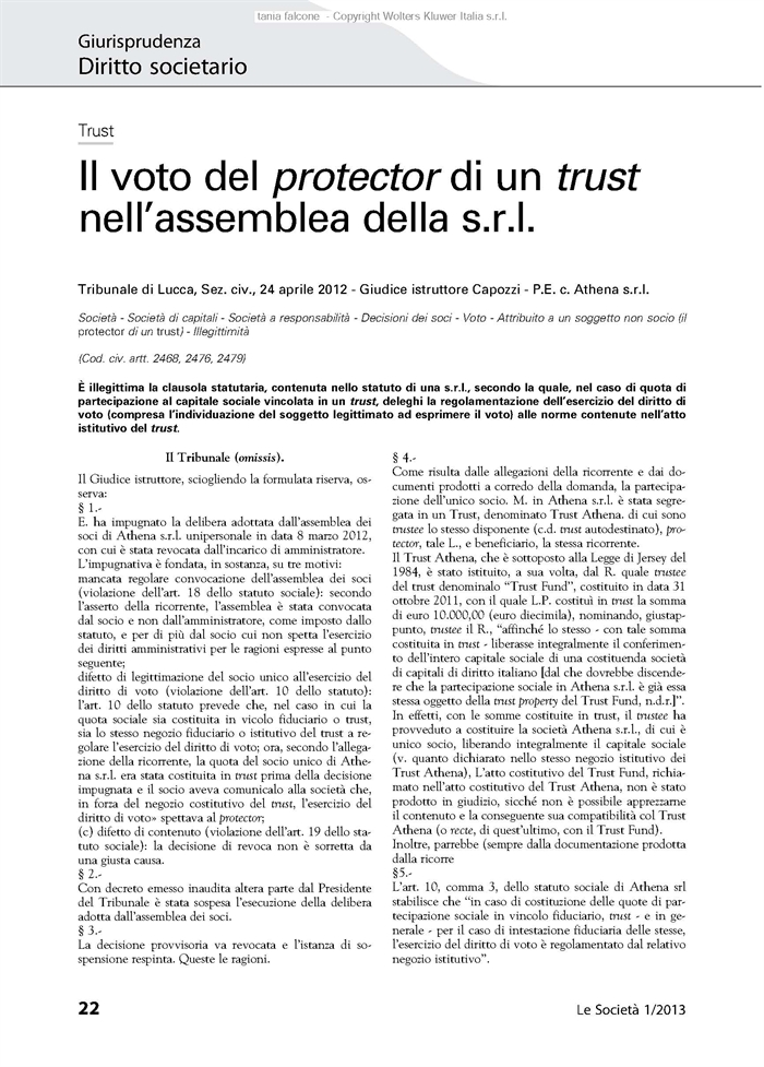 TRUST - Il voto del protector nell'assemblea della Srl